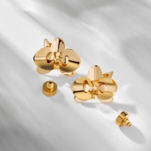 Brinco Evolua Dourado - Anna Prata
